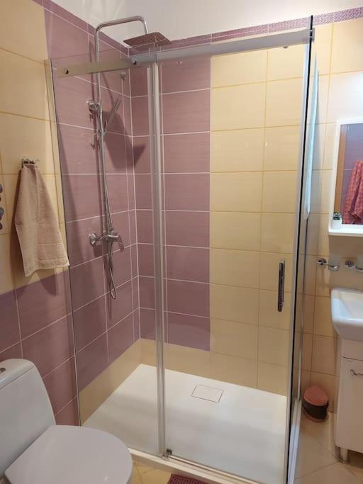 Homelyapartment Cracovia Exterior foto
